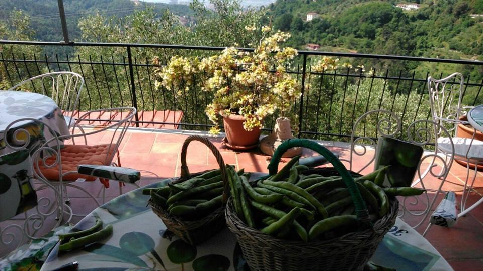 Agriturismo Oliva Azzurra Villa Valeriano Lunense ภายนอก รูปภาพ